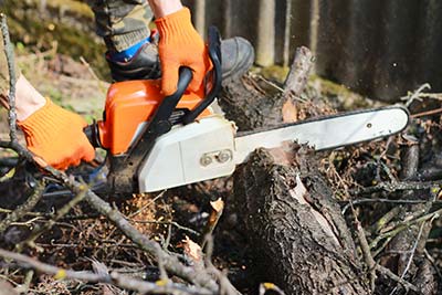 Tree Services